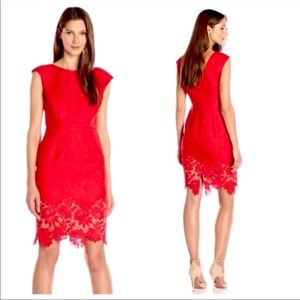 Anthropologie | Plenty Dresses by Tracy Reese • Aviva Dress Size 2 Red Lace